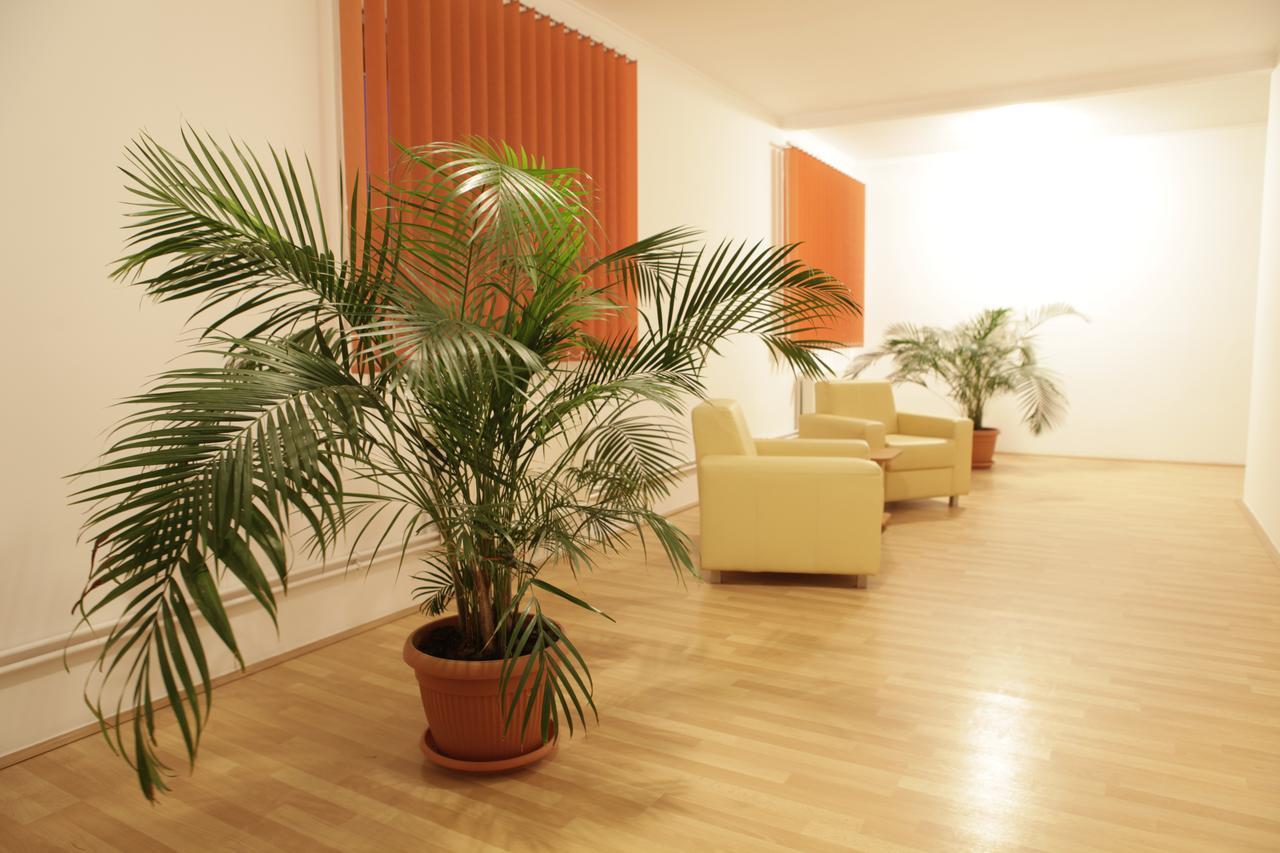 Balauseri Hotel Romantik מראה חיצוני תמונה